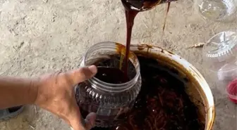 Tarım Müdürü Ahmet Akar, Senelik İzni Süresinde Geleneksel Pekmez Üretiyor
