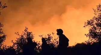Bilecik'teki Orman Yangınında AKUT Ekipleri Hayat Kurtardı