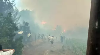 Bilecik'te Orman Yangınına Müdahale Devam Ediyor