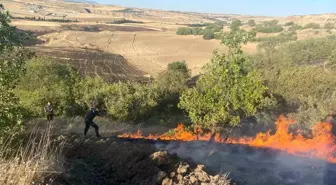 Adıyaman'da Anız Yangını Bahçelere Sıçradı
