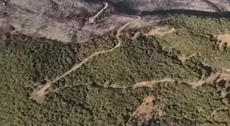 Sultanhisar'da Orman Yangını Kontrol Altına Alındı