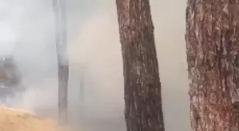 Bakırköy Hastanesi'nde Yangın Paniği