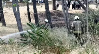Bakırköy'de Hastane Bahçesinde Yangın Çıktı