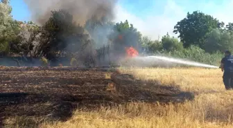 Balya Makinesinden Kıvılcım Yangına Neden Oldu