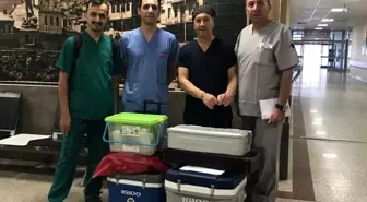 Beyin Ölümü Gerçekleşen Hastanın Organları 3 Kişiye Umut Oldu