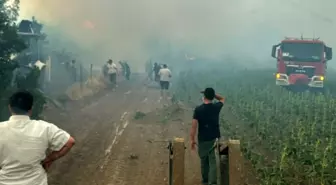 Bilecik'te Orman Yangını, Kuyubaşı Köyü Boşaltıldı