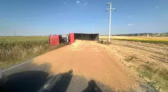 Tekirdağ'da Buğday Yüklü Kamyon Devrildi, Sürücü Yaralandı
