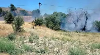 Elazığ'da Yangın Alarmı: Keban'da Alevler Kısa Sürede Büyüdü