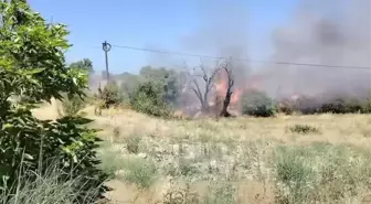 Elazığ Keban'da Orman Yangını