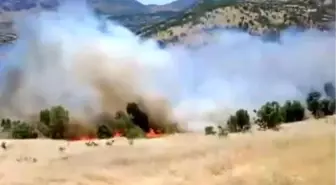 Adıyaman'da Orman Yangını Korkuttu