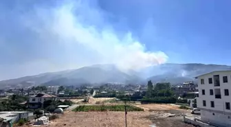Hatay'da 30 Saat Süren Orman Yangınına Ekipler ve Vatandaşlar Müdahale Ediyor