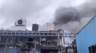 Hindistan'daki Kimya Fabrikası Patlamasında Ölü Sayısı 36'ya Yükseldi