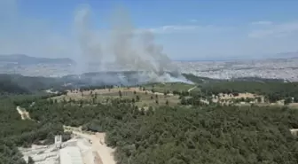 İzmir Buca'da Orman Yangını: Havadan ve Karadan Müdahale Devam Ediyor