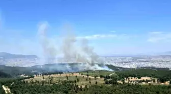 İzmir'de Orman Yangınına Hava ve Karadan Müdahale