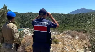 Aydın'da Orman Yangınları İçin Denetim ve Bilgilendirme Faaliyetleri