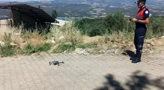 Aydın'da Orman Yangınları Riskine Karşı Giriş Yasağı Hatırlatıldı
