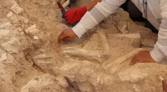 Keçi çobanının keşfettiği fosil alanı 7,7 milyon yıla tarihlendirildi