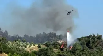 Manisa'da Rüzgarın Etkisiyle Yangın Yayılıyor