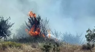 Manisa'da Orman Yangını Kontrol Altına Alındı