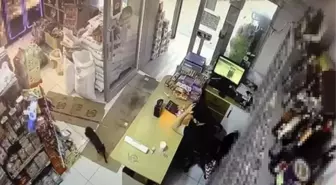 Marketin Kedisi Kendi Kendine Hareket Eden Kutuyla Panik Yarattı