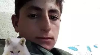 Muş'ta İş Kazası: 20 Yaşındaki Genç Hayatını Kaybetti
