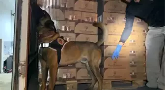 Kocaeli'de TEM Otoyolu'nda 9 Kilo Kokain Ele Geçirildi