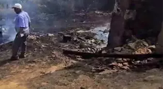 Sındırgı'da Saman Yangını Ormana Sıçramadan Söndürüldü