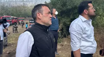 Bilecik'te Orman Yangını Söndürme Çalışmaları Sürüyor