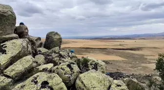 Yozgat'ta Tarla Yangınlarıyla İlgili Şüpheli Yakalandı