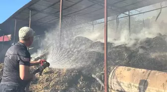 Adana'da Ahırda Yangın: 5 İnek Hayatını Kaybetti