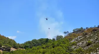 Antalya'daki Orman Yangını Kontrol Altına Alındı