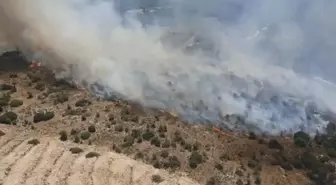 Aydın'da Tarım Arazisinde Yangın