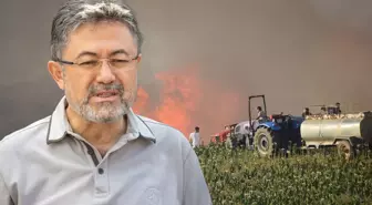 Bakan Yumaklı: İzmir, Manisa ve Bilecik yangınları kontrol altında