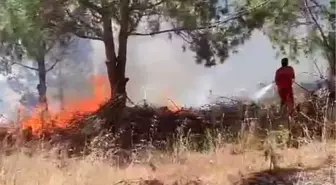 Bursa'da Ağaçlık Alanda Yangın: Havadan ve Karadan Müdahale