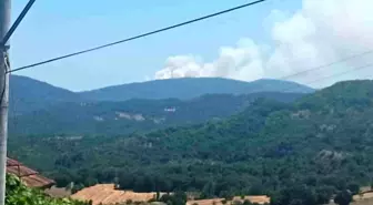 Bursa Mustafakemalpaşa'da Orman Yangını Çıktı
