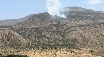 Hakkari'de Orman Yangını Kontrol Altına Alındı