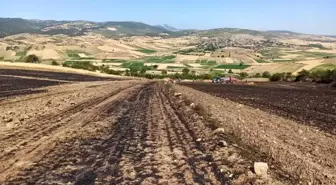 Vezirköprü Ziraat Odası'ndan Anız Yakılmasına Dikkat Çağrısı