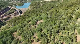 Kastamonu'da Kaybolan İki Büyükbaş Hayvan İçin Dron ile Arama
