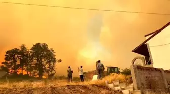 Kocaeli'de Orman Yangını: Evler Tahliye Ediliyor