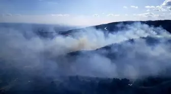 Kocaeli'nde Orman Yangını Havadan Görüntülendi