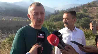Kocaeli'de Orman Yangını Kontrol Altına Alındı