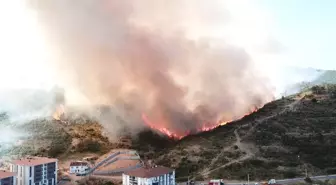 Kocaeli'de Orman Yangınında 3 Kişi Dumandan Etkilendi