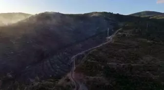 Kocaeli'de Orman Yangını Kontrol Altına Alındı