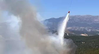 Kütahya'nın Gediz ilçesinde orman yangını