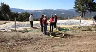 Bilecik'te Yangın Sonrası Zarar Tespit Çalışmaları Başladı