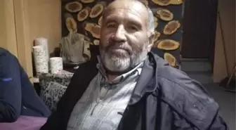 Bolu'da Orman İşçisi Ağaç Altında Kalarak Hayatını Kaybetti