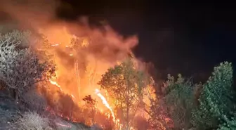 Adıyaman'da Bahçe ve Orman Yangınları Kontrol Altına Alındı