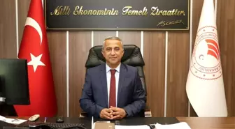 Kahverengi Kokarcamayla Mücadelede Kritik Dönem Başladı