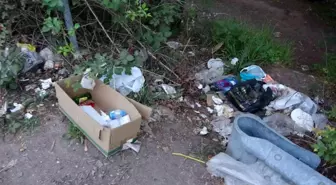Şile'de Atıkların Doğaya Bırakılması Çevre Kirliliğine Neden Oluyor