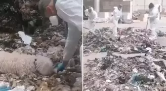 Yeni doğan bebeğini parçalayıp çöpe atan anne tutuklandı